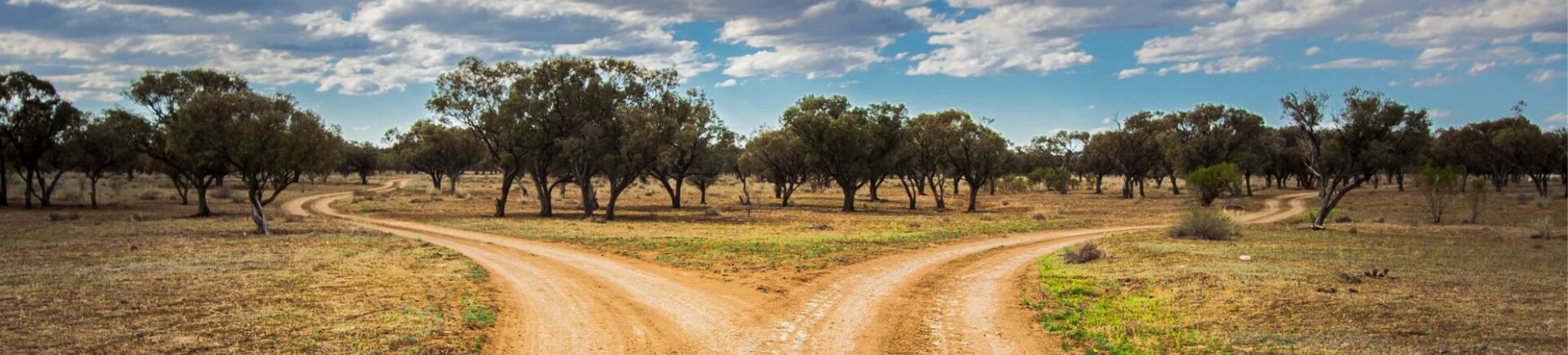 Two dirt roads guided by tress parting ways in the outback of Longreach. 